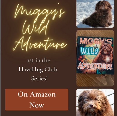 Miggy's Wild Adventure Children's Book